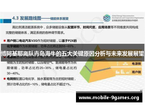 博阿基耶离队青岛海牛的五大关键原因分析与未来发展展望 博阿基耶离队青岛海牛的五大关键原因分析与未来发展展望