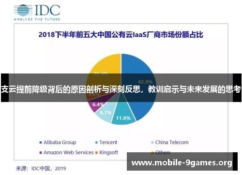 支云提前降级背后的原因剖析与深刻反思,教训启示与未来发展的思考 支云提前降级背后的原因剖析与深刻反思,教训启示与未来发展的思考