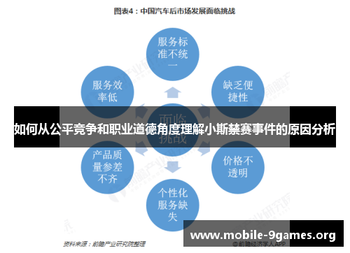 如何从公平竞争和职业道德角度理解小斯禁赛事件的原因分析 如何从公平竞争和职业道德角度理解小斯禁赛事件的原因分析